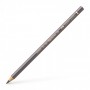 Polychromos Colour Pencil warm grey V